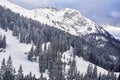 Winter white forest with snow,snow-capped mountain peaks.Wide Panoramic View Royalty Free Stock Photo