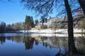 winter white forrest lake castle