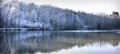 winter white forrest lake
