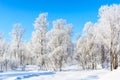 Winter white frozen trees landscape Royalty Free Stock Photo
