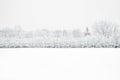 Winter Snow Trees, Park Road Perspective, White Alley Tree Rows Royalty Free Stock Photo