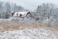 Winter white snow on red barn with silo and field or meadow Royalty Free Stock Photo