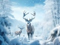 Winter wildlife landscape with noble deers Cervus Deer with large Horns with snow on the foreground and looking at camera