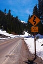 Winter Winding Road Royalty Free Stock Photo