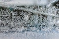 winter window ice crystal pattern on blue s abstract plant patterns Royalty Free Stock Photo