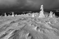 Winter windy landscape