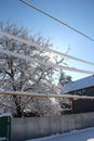 Winter wires. Snow-covered power grids