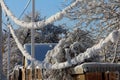 Winter wires. Snow-covered power grids