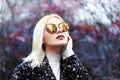 Winter woman in sunglasses Royalty Free Stock Photo