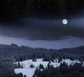 Winter wonder land at full moon