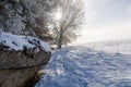 Winter wonder land with rocks and trees Royalty Free Stock Photo