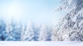 winter wonder land snow-covered fir forest Royalty Free Stock Photo