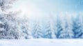 winter wonder land snow-covered fir forest Royalty Free Stock Photo