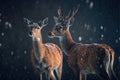 Winter Wonderland - AI Generated Illustration of Two Deer in the Snowy Forest 003