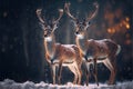 Winter Wonderland - AI Generated Illustration of Two Elk in the Snowy Forest 003