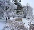 Winter Wonderland in Canada