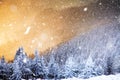 winter wonderland - Christmas background with snowy fir trees in Royalty Free Stock Photo