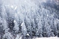 winter wonderland - Christmas background with snowy fir trees in Royalty Free Stock Photo