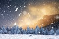 winter wonderland - Christmas background with snowy fir trees in Royalty Free Stock Photo