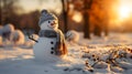 Winter Wonderland: Closeup Snowman in the Morning Light