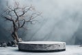 Winter Wonderland, Empty Stone Pedestal on Snow Covered Ground