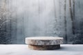 Winter Wonderland, Empty Stone Pedestal on Snow Covered Ground
