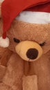 Jolly Huggable: The Christmas Bear