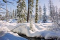 Winter wonderland in the forest with creek and trees covered with snow Royalty Free Stock Photo