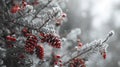 Winter Wonderland with Frosted Pine Cones and Berries Royalty Free Stock Photo
