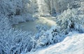 A Winter Wonderland - Harrison, Maine on November 26, 2014 Royalty Free Stock Photo