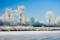 Winter wonderland in Holland Royalty Free Stock Photo