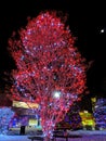 Christmas lights in tree