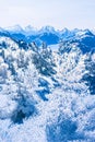 Winter wonderland and magical Christmas landscape. Snowy mountains and forest covered with snow as holiday background Royalty Free Stock Photo