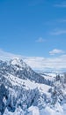 Winter wonderland and magical Christmas landscape. Snowy mountains and forest covered with snow as holiday background Royalty Free Stock Photo