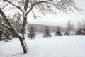 Winter Wonderland Mountain Landscape