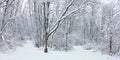 Winter Wonderland Northern Illinois Royalty Free Stock Photo