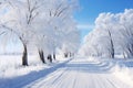 Winter Wonderland. Serpentine Road Amidst Frost-Blanketed Trees in a Breathtaking Landscape