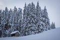 Winter wonderland with a shack at the forest Royalty Free Stock Photo