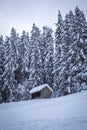 Winter wonderland with a shack at the forest Royalty Free Stock Photo