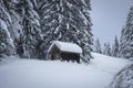 Winter wonderland with a shack at the forest Royalty Free Stock Photo