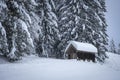 Winter wonderland with a shack at the forest Royalty Free Stock Photo