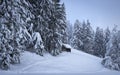 Winter wonderland with a shack at the forest Royalty Free Stock Photo