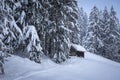 Winter wonderland with a shack at the forest Royalty Free Stock Photo