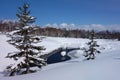 Winter wonderland snow iced lake.