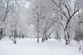 Winter Wonderland with Snowy Footpath and Bare Trees Royalty Free Stock Photo