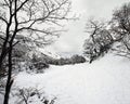 Winter Wonderland, Snowy Trail