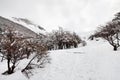 Winter Wonderland, Snowy Trail