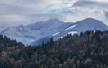 Winter wonderland with snowy trees on a Canadian mountains. Alps forest in winter cloudy day. Misty mountain pine forest Royalty Free Stock Photo