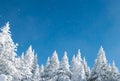 Winter wonderland - Sunny winter day with blue sky and snow covered trees Royalty Free Stock Photo