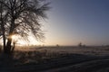 Winter wonderland sunset view of frozen trees scenery panoramic wide nature background scene